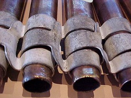 shells2.jpg